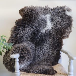 (XL) Gotland Sheepskin Rare Auburn Tint Tricolour Rug