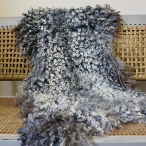 (M) Variegated Gotland Sheepskin