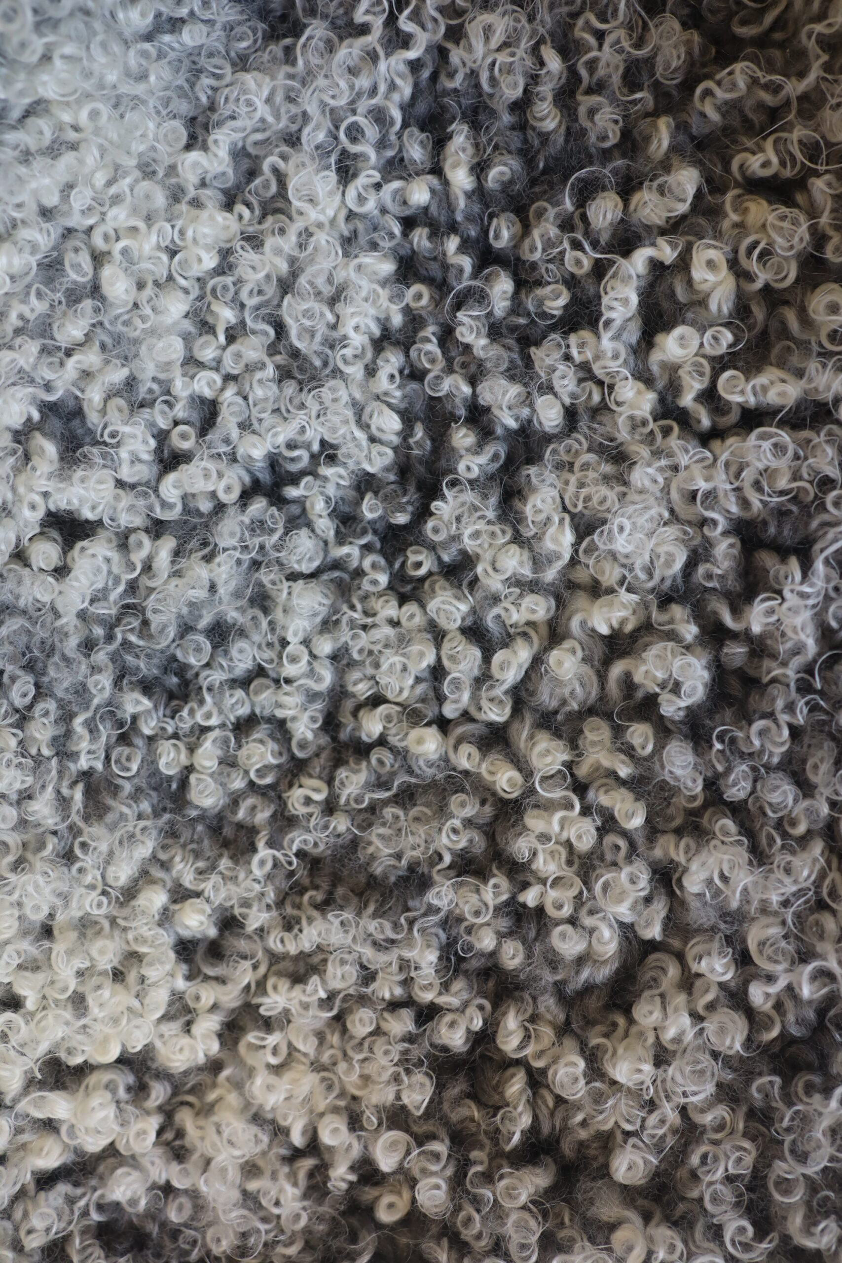 (XL) Variegated Gotland Sheepskin - Image 6