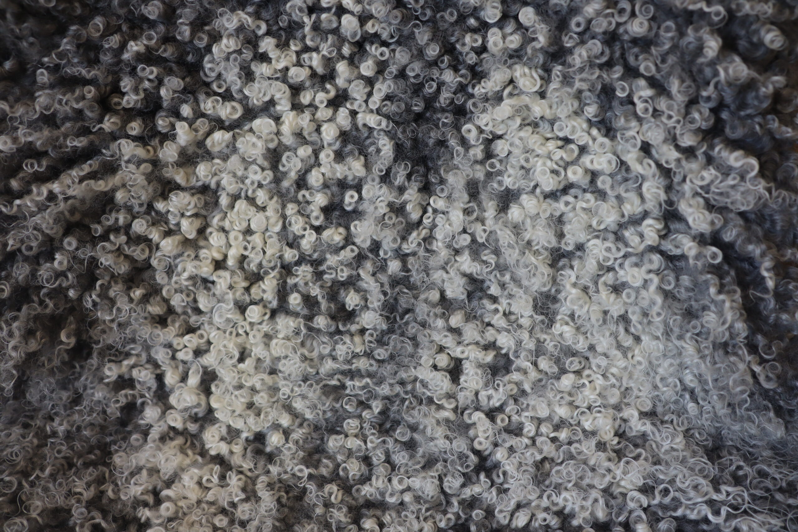 (XL) Variegated Gotland Sheepskin - Image 5