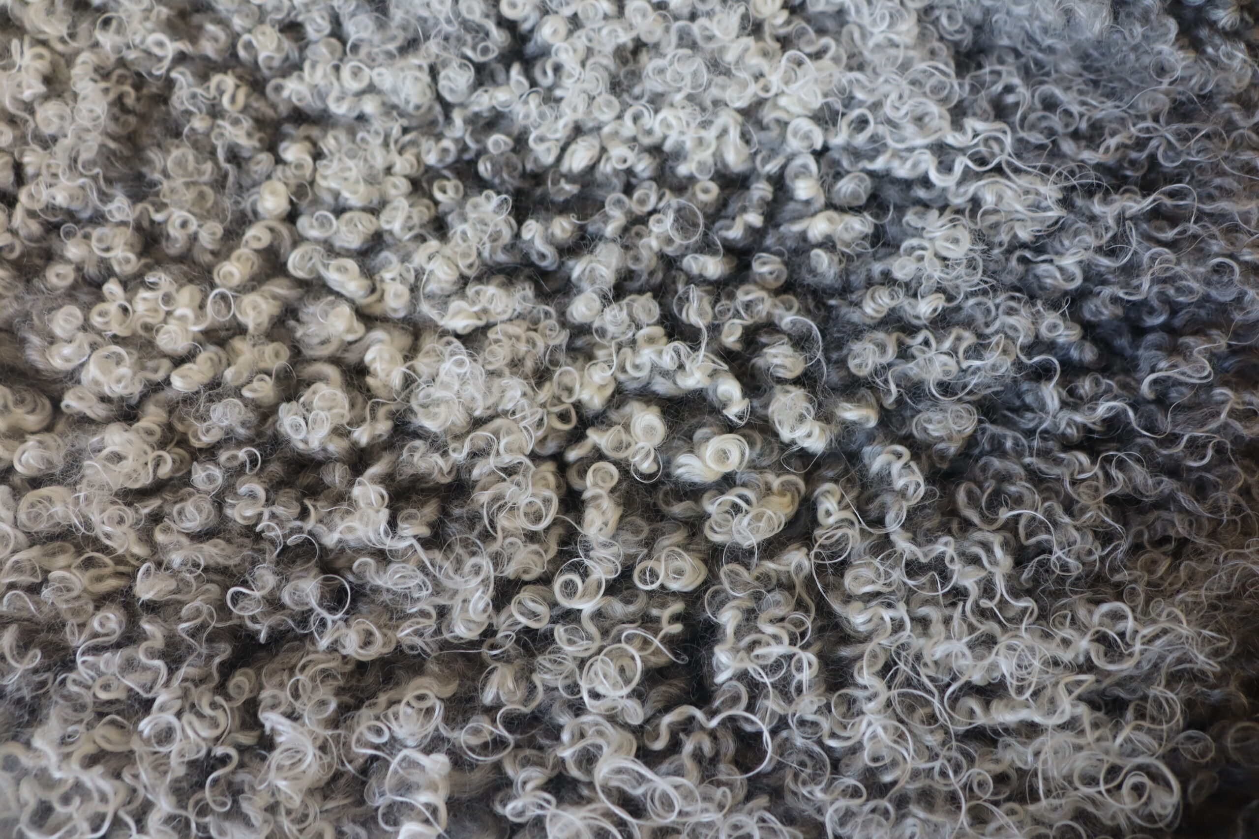 (XL) Variegated Gotland Sheepskin - Image 4