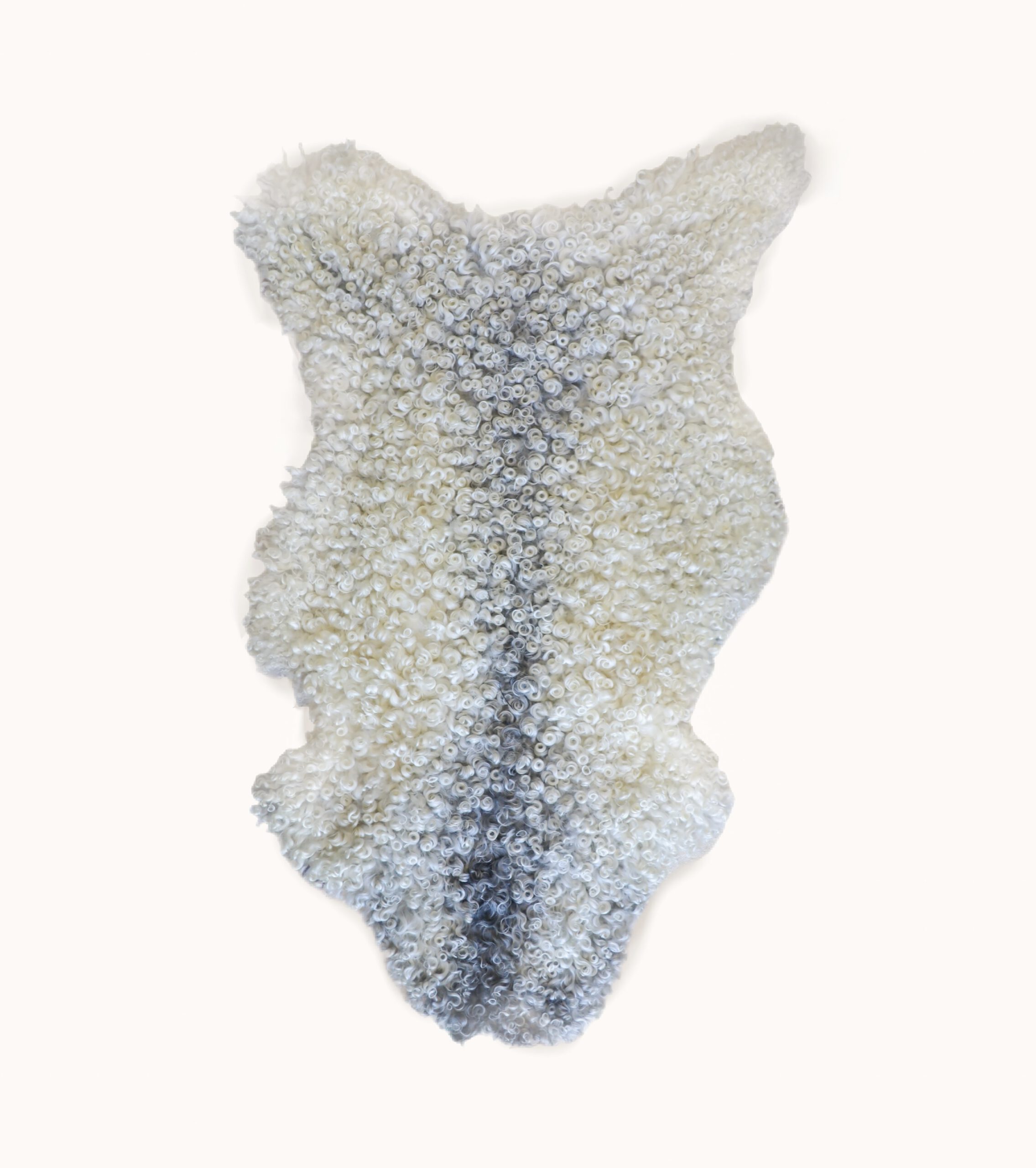 (XL) Cream Tinted Gotland Sheepskin - Image 5