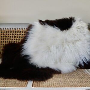 (M) Umber/Cream Icelandic Sheepskin Rug